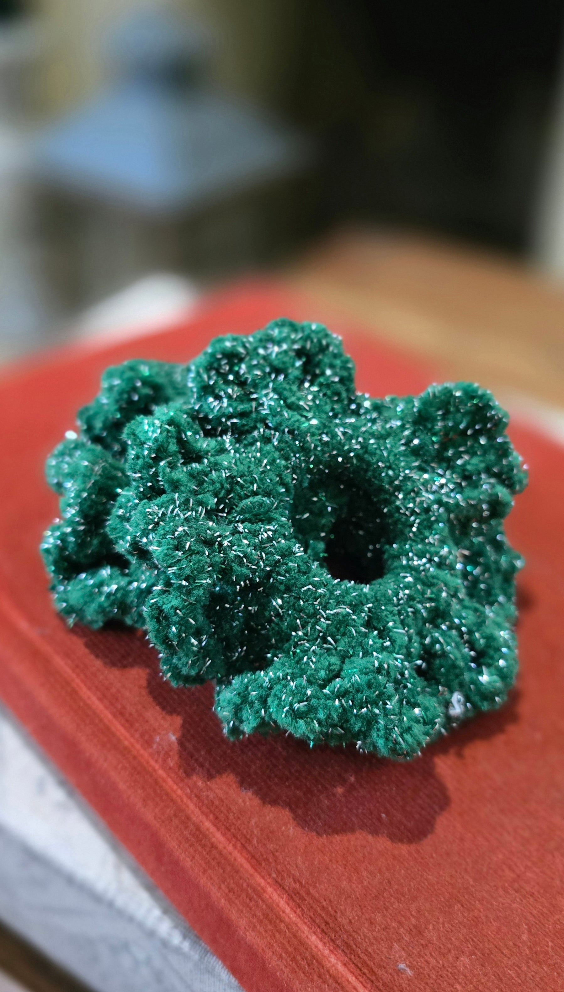 Frosty Christmas Velvet Sparkle Scrunchie Set